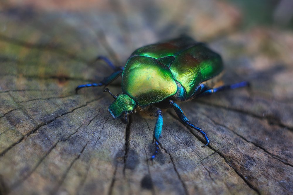 Photograph by Артур