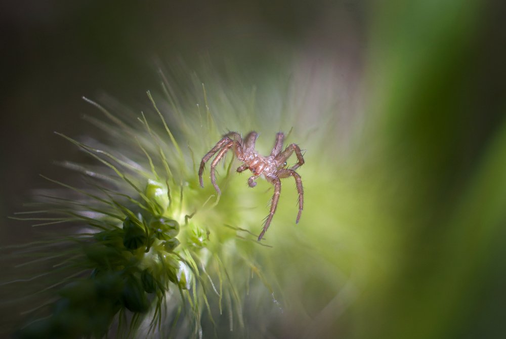 Photograph by Артур