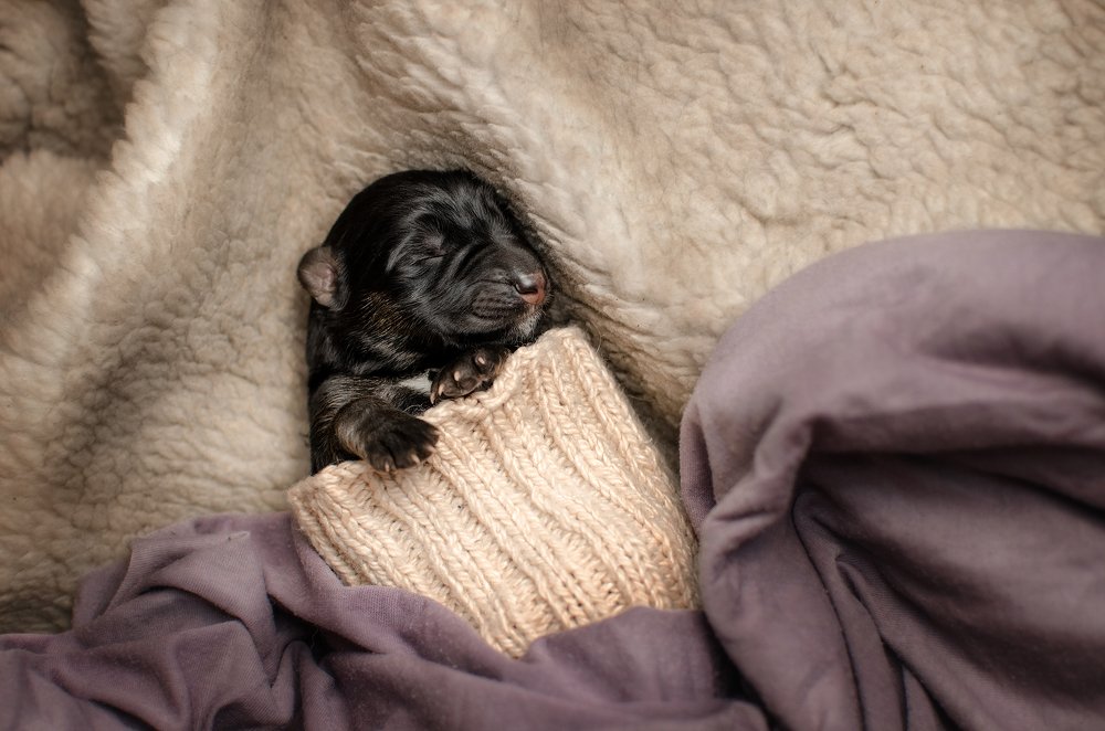 Photograph by Екатерина Кикоть