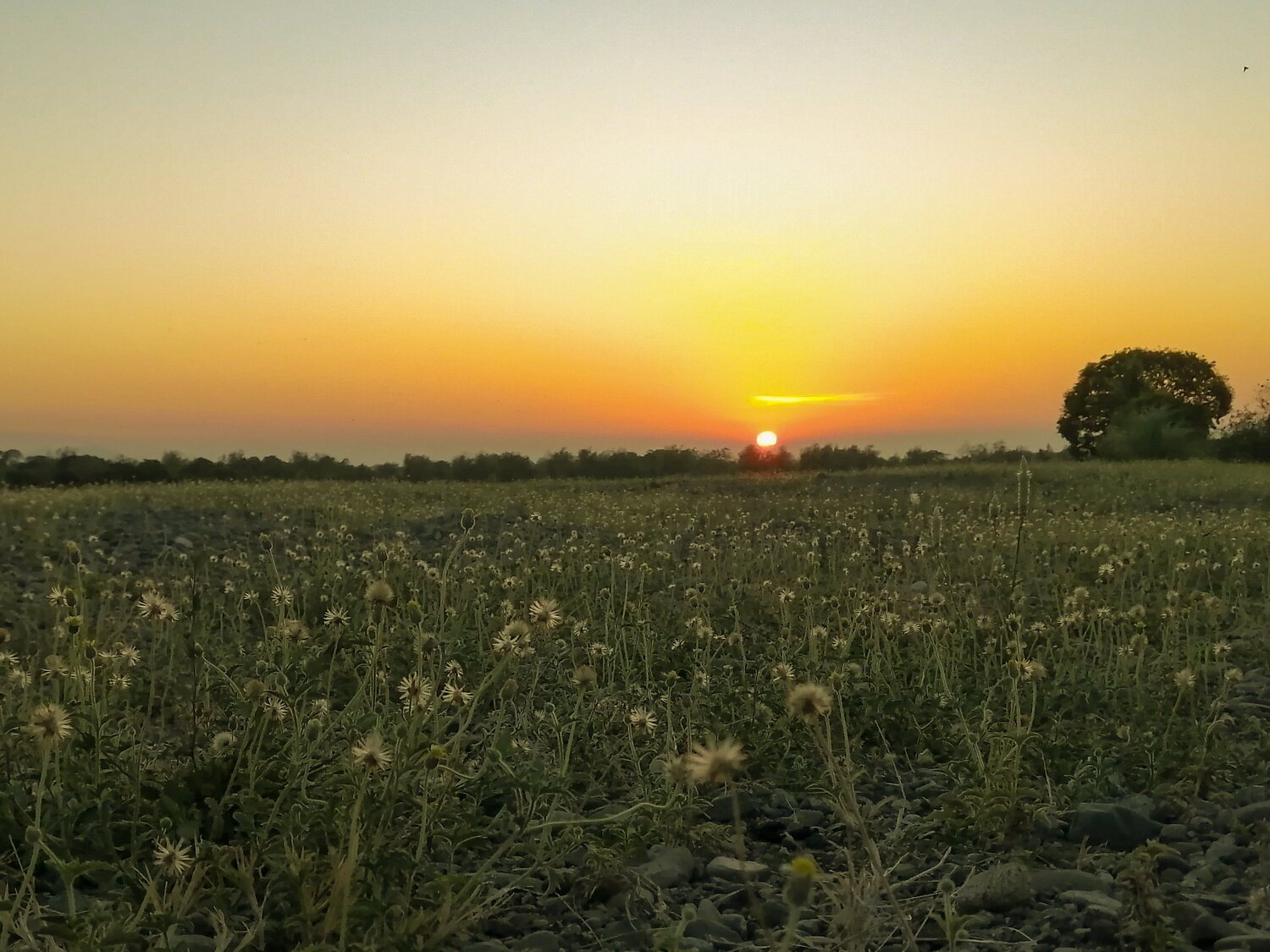 Photo #4489891