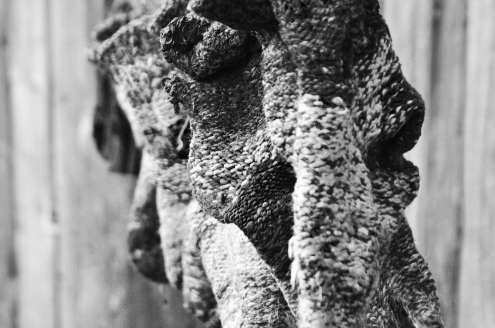 Photograph by Александр Райсон