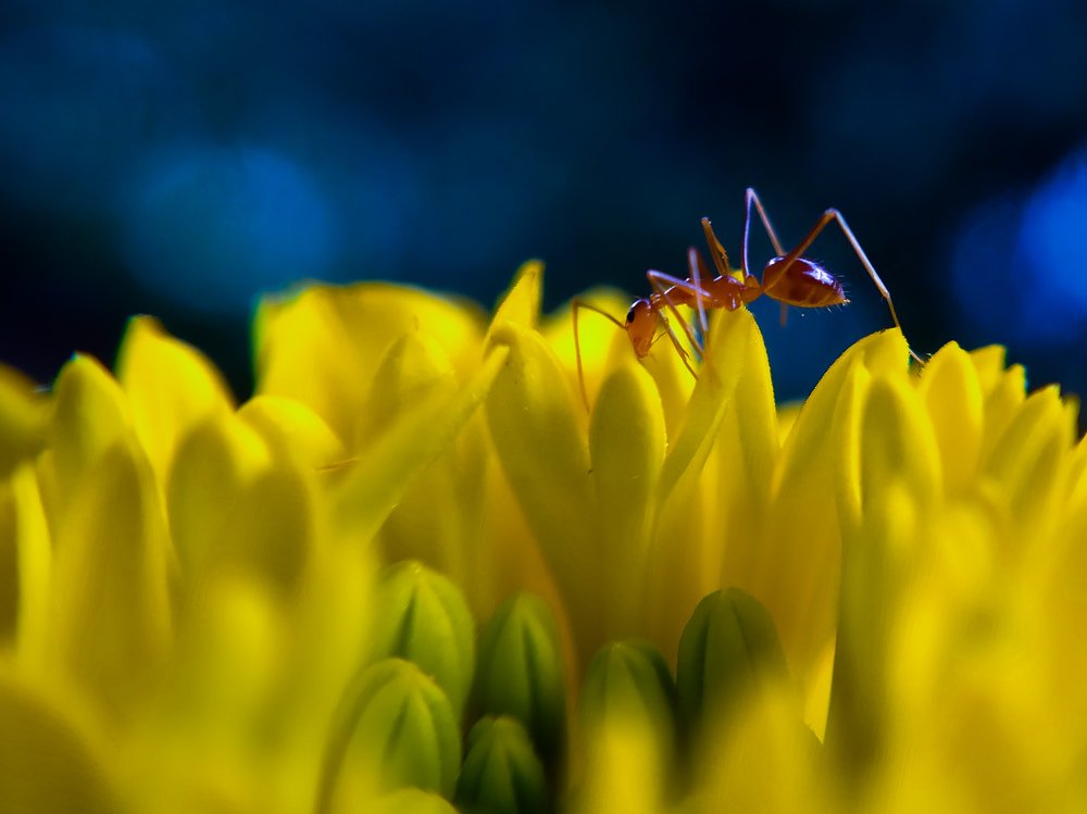 Photograph by Herald Jaison