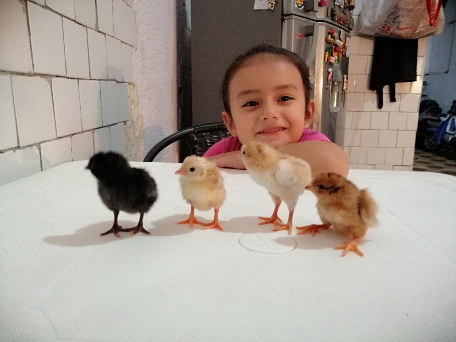 Amor por los animales