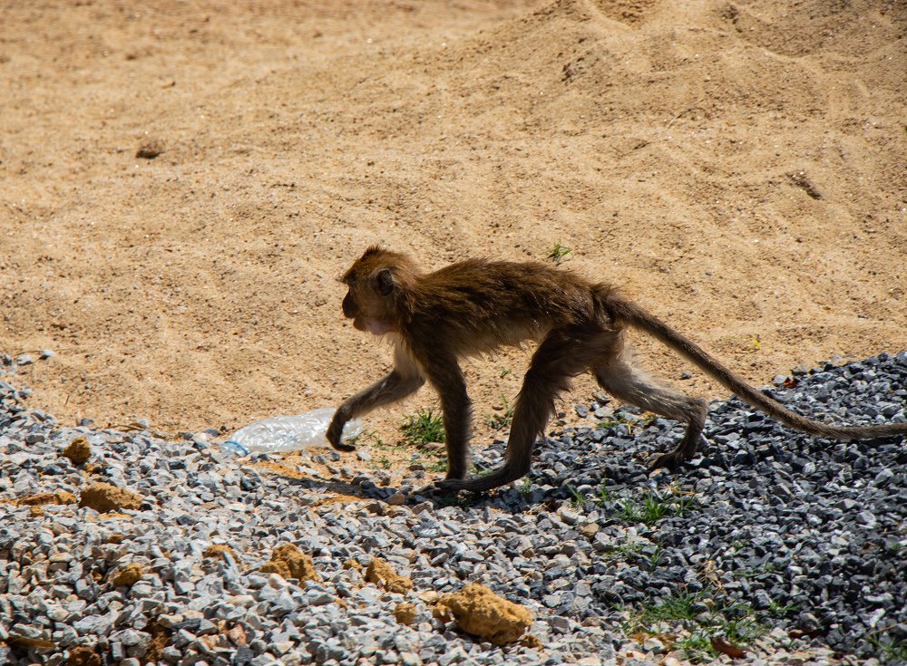 Photograph by Денис Осеев