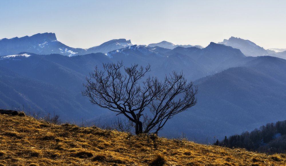 Photograph by Антон Литвин