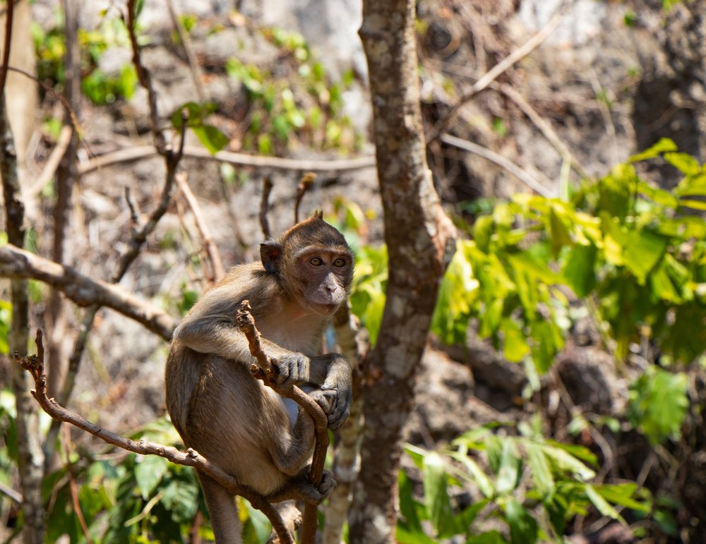 Photograph by Денис Осеев