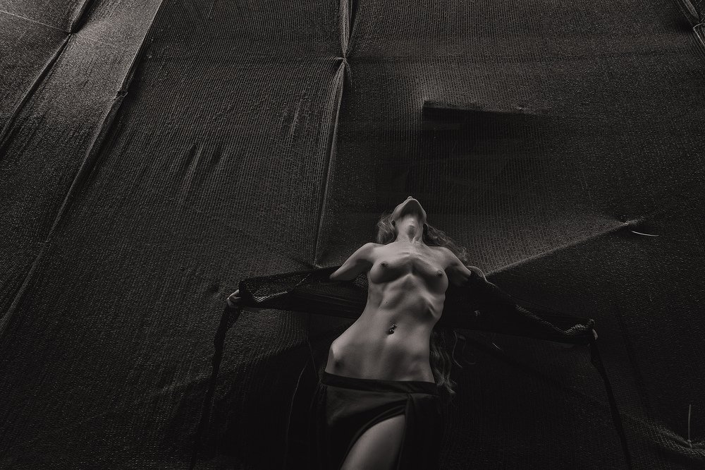 Photograph by Леонид Мочульский