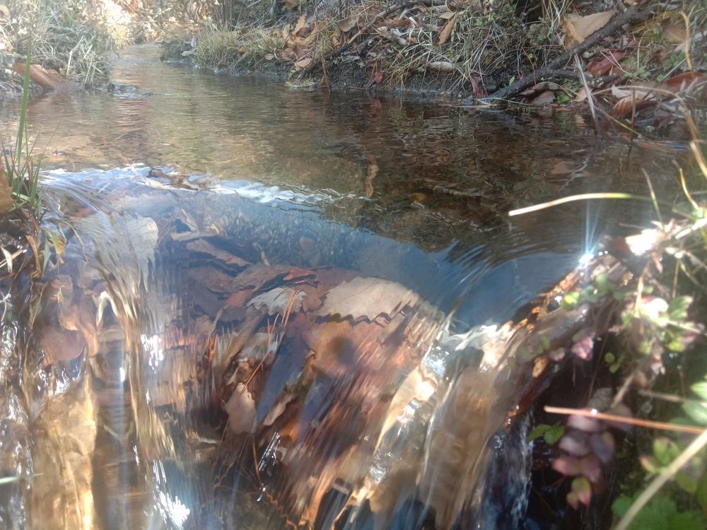 Photo #4490169