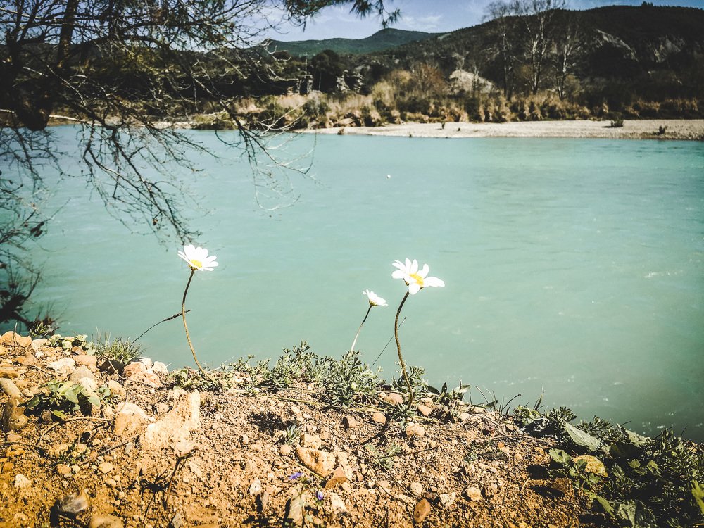 Photograph by Елена Кая