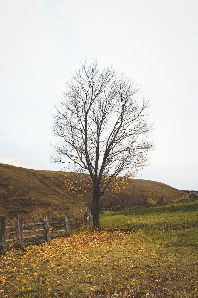 Photograph by Дина Нагимова