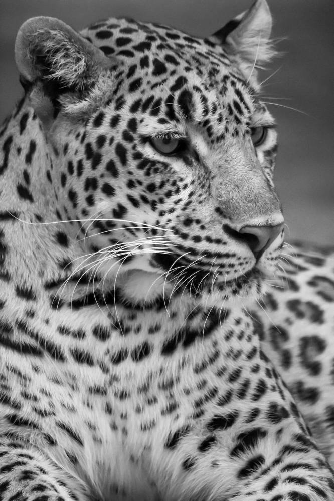 Photograph by atul mehta