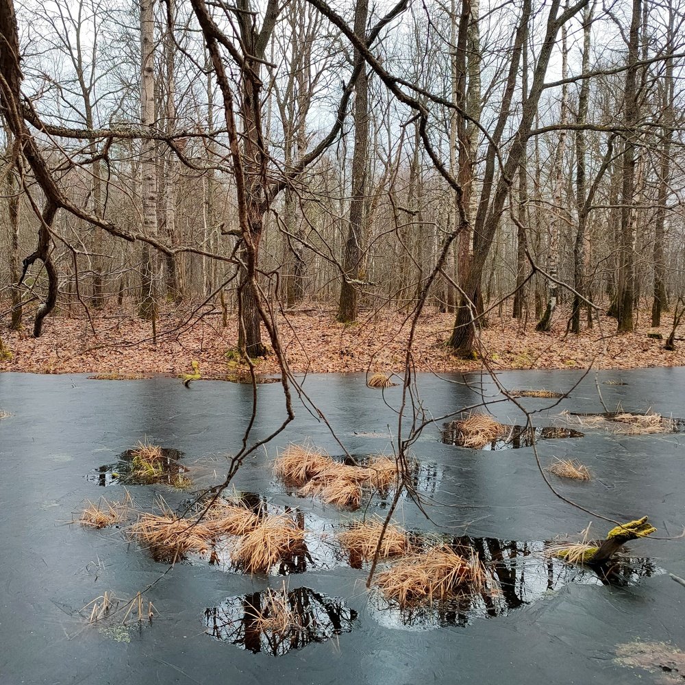Поздняя осень
