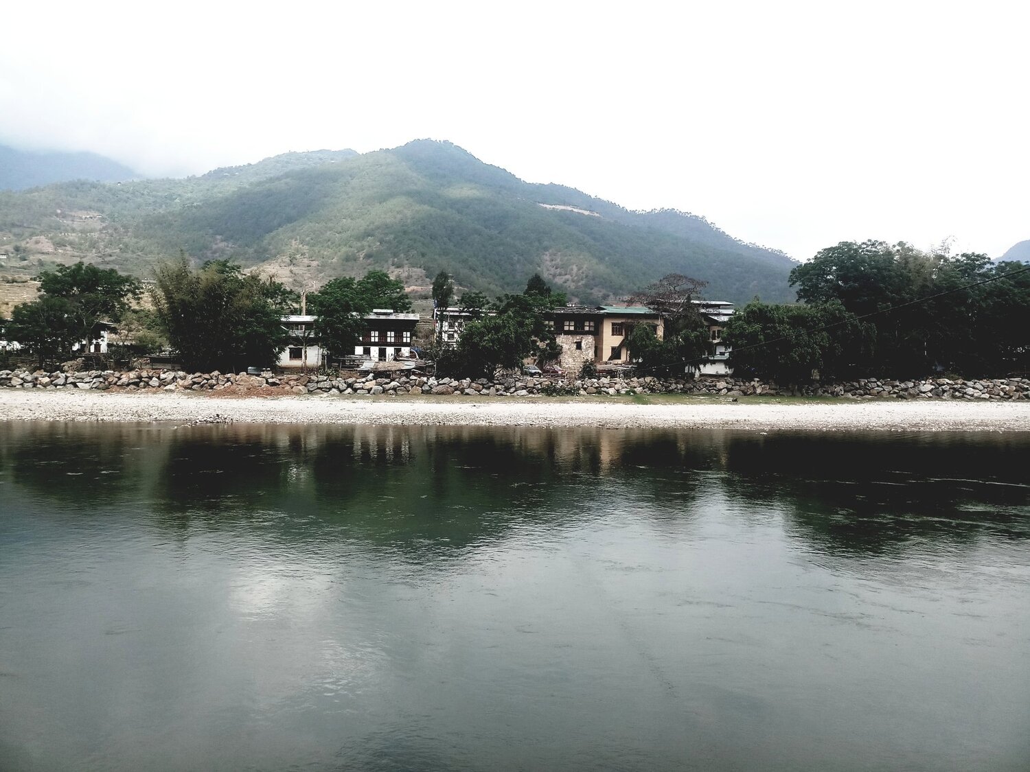 Photo #4490401
