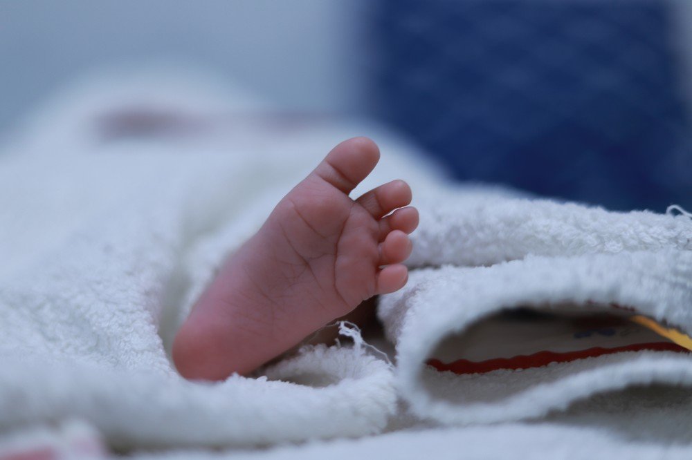 Наши лапки)