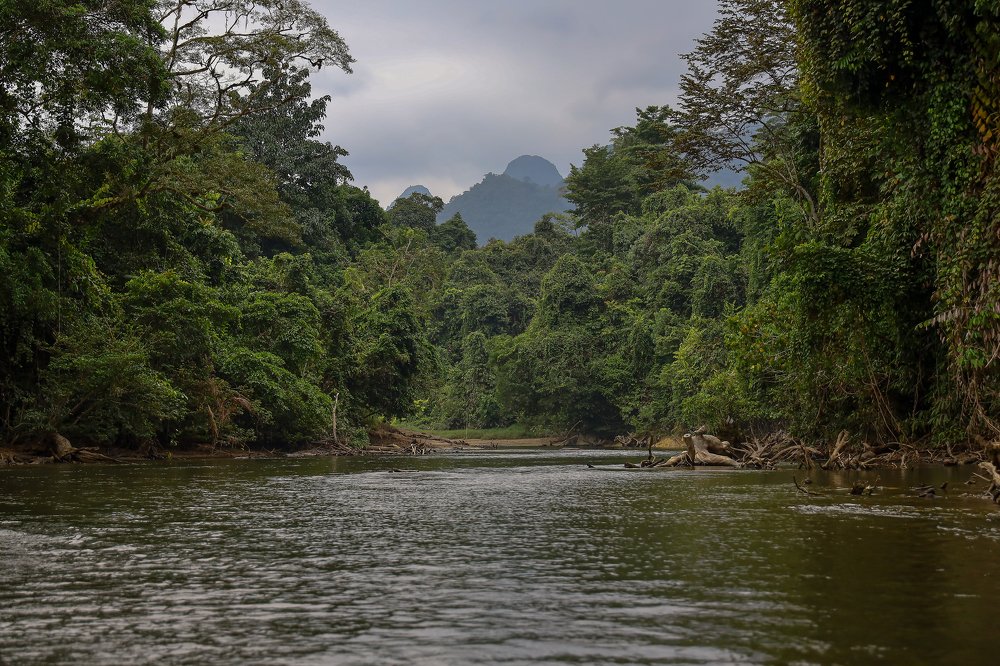 Photograph by Azlandy Mohammid Ali Tuah