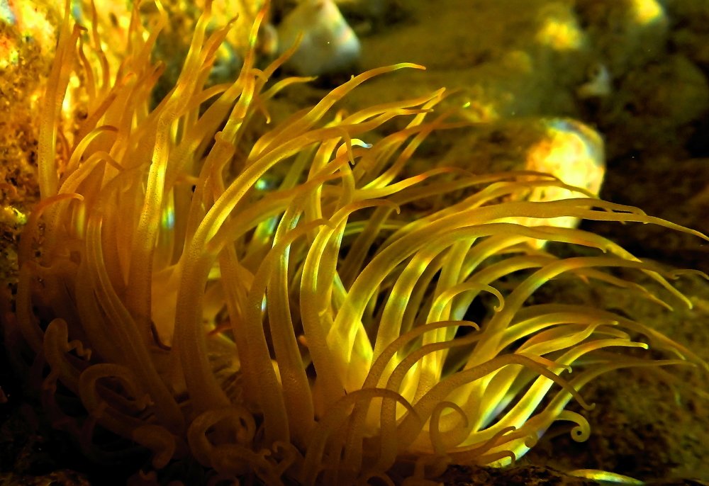 Photograph by Maciej Bonk