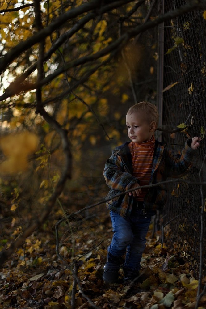Photograph by Надежда Недашковская