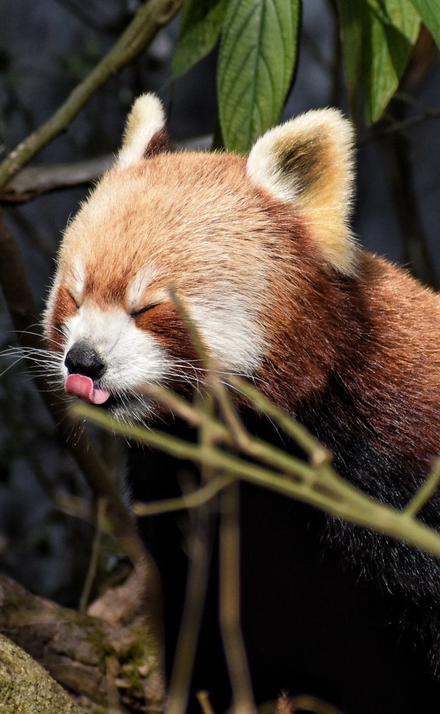 Photograph by Subrata Das