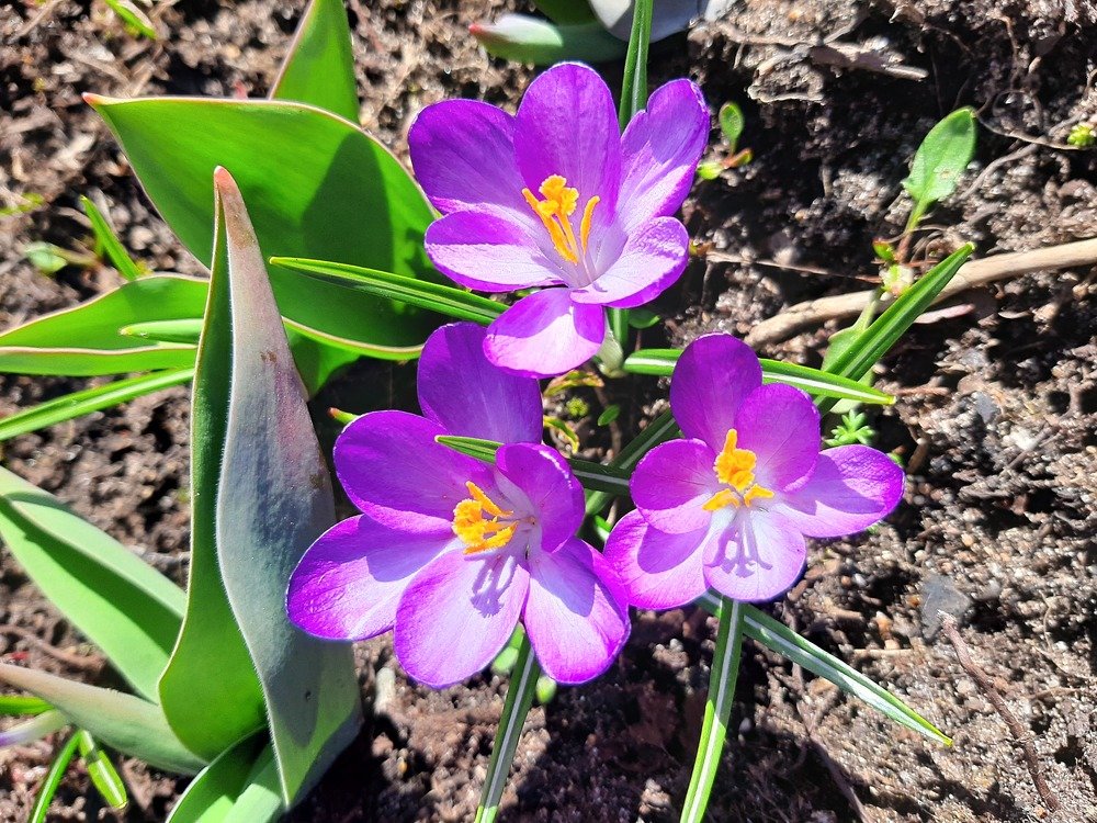 Photograph by Алина Голубева