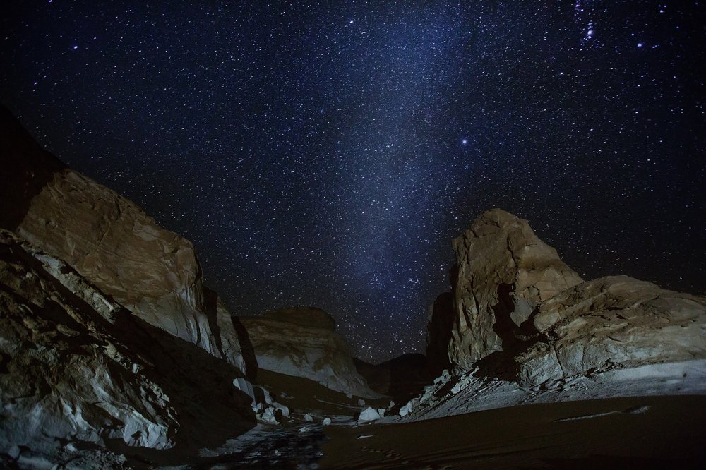 Photograph by Olena Anderson