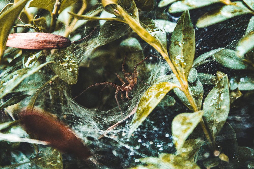 Photograph by Александр Шульга