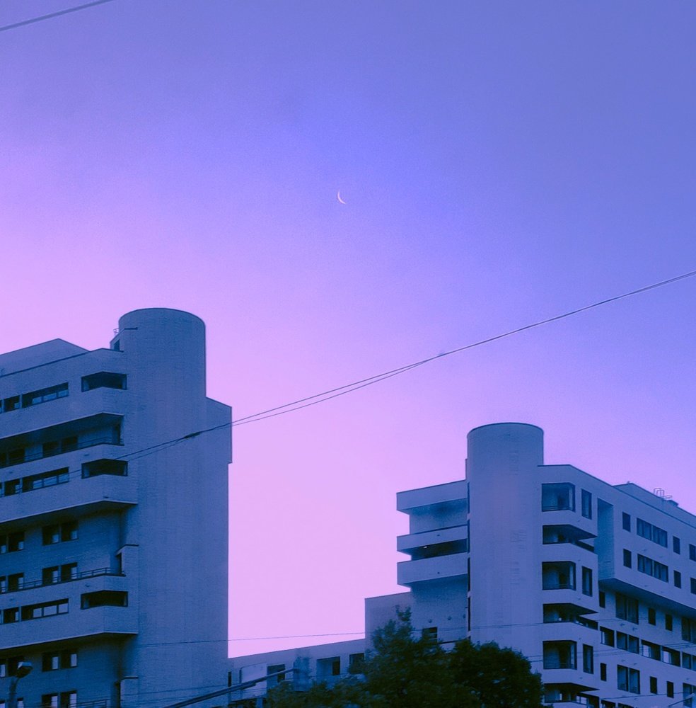 Photograph by Полина Щапова
