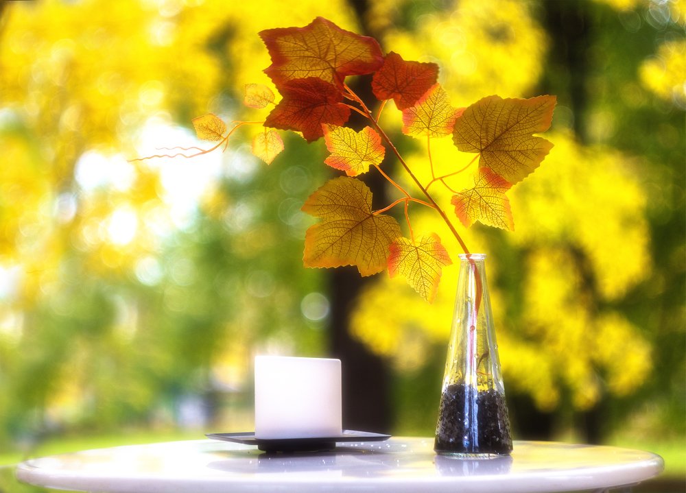 Photograph by Алексей Герасимов