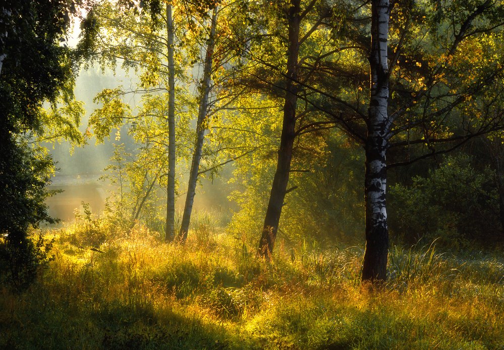 Photograph by Алексей Герасимов