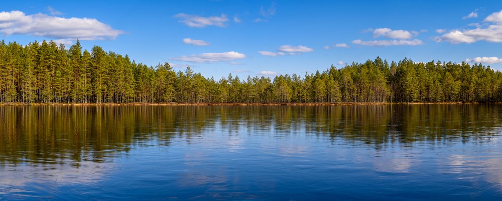 Photograph by Roman Dmitriev