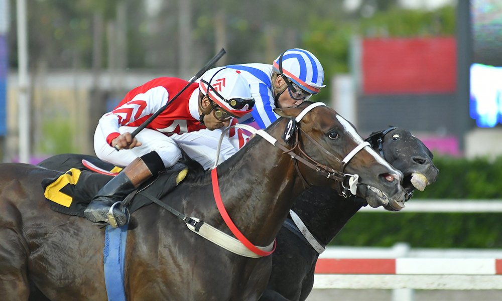 NO TE ATREVAS A PASARME