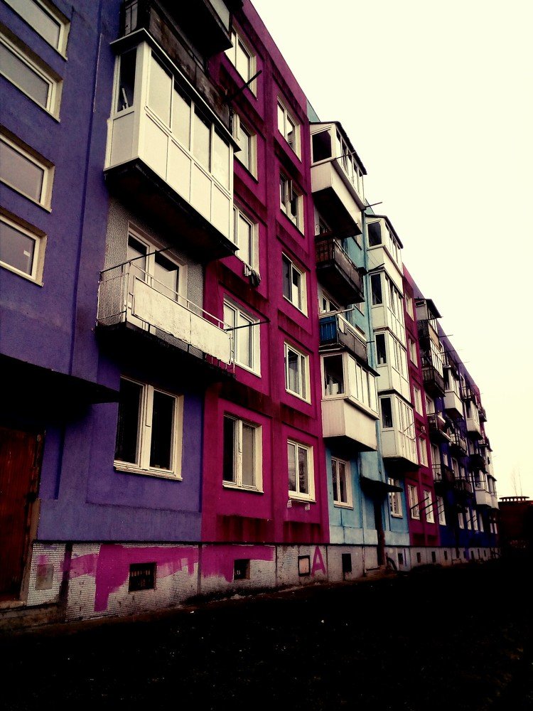 Photo #4491262