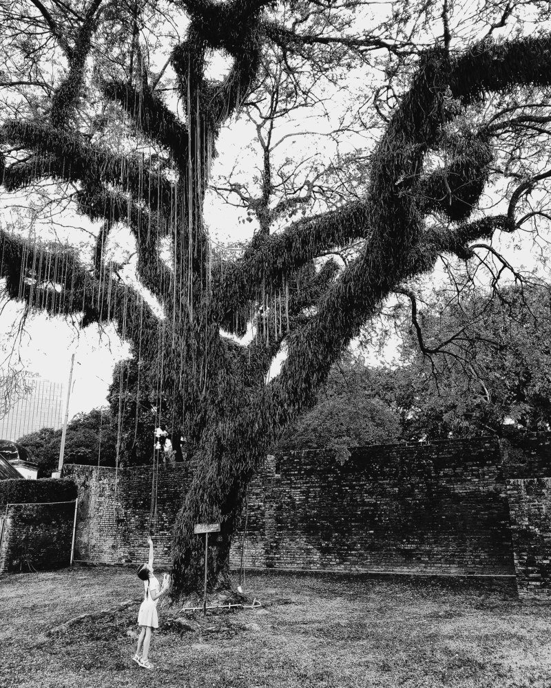 Photograph by Надежда Акимова