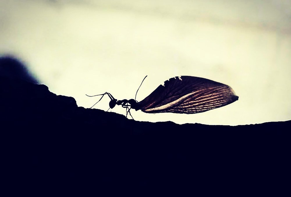 La Grandeza de la Naturaleza