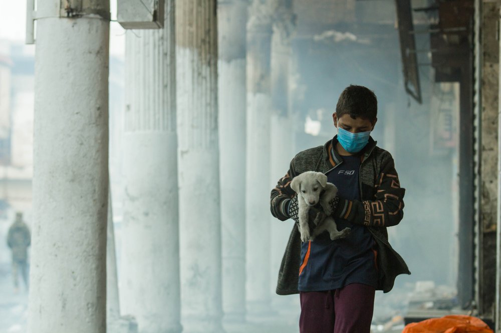 My dog ​​is my friend