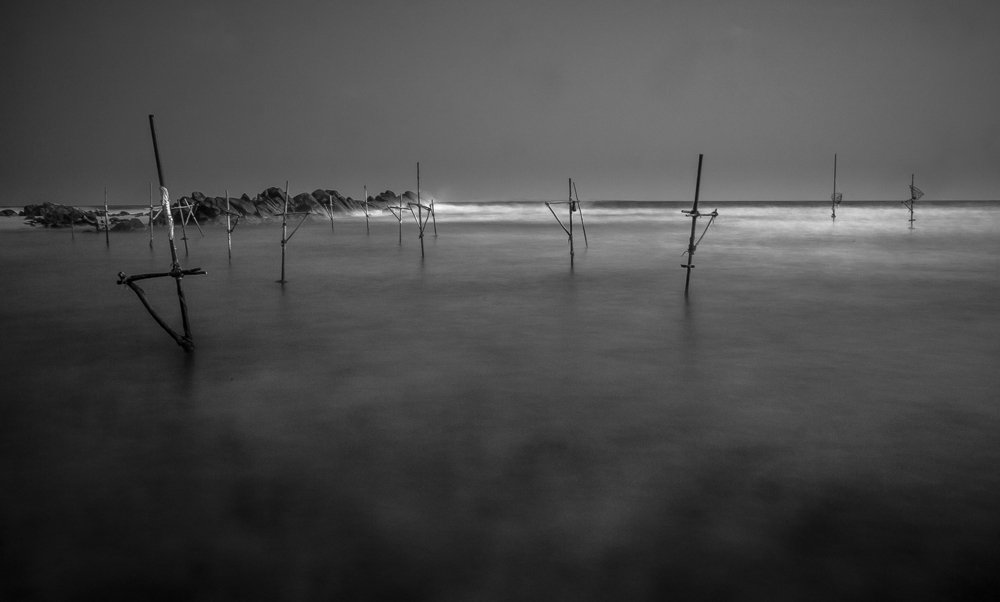 Photograph by pouyan safavi