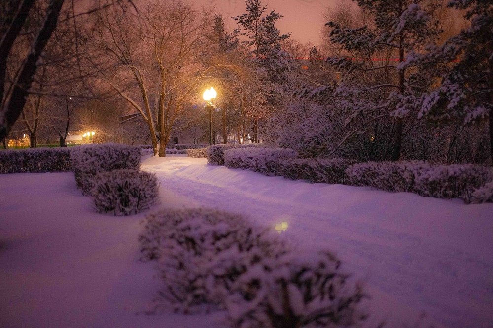 Photograph by Марина Комина