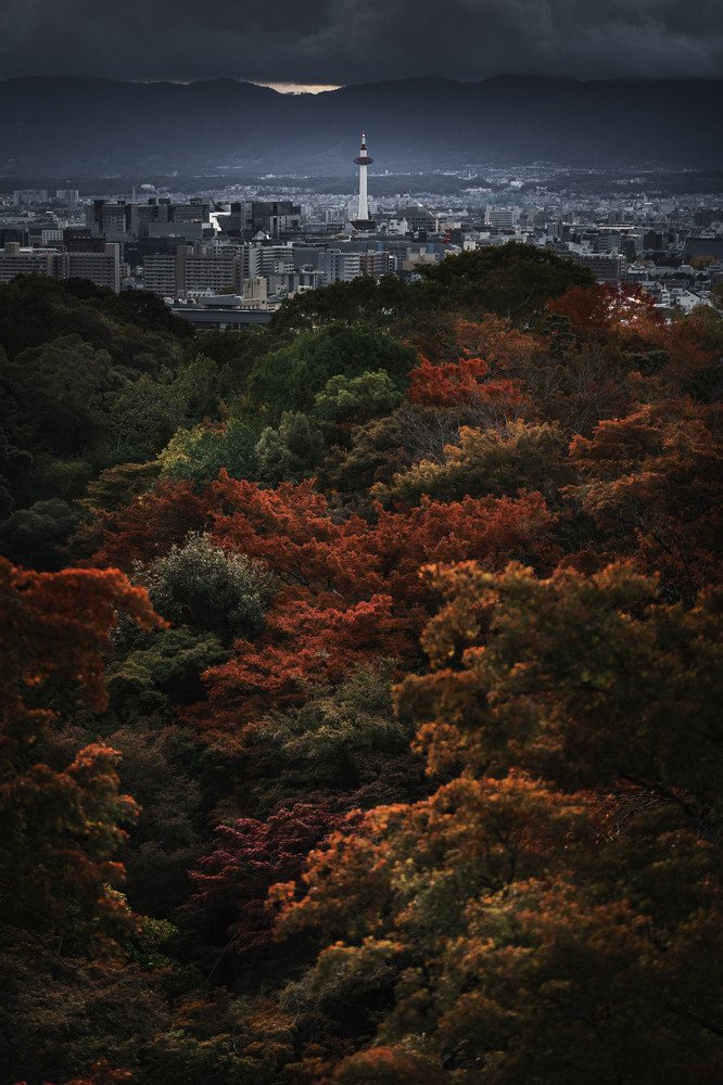 Фотография автора Maggie Ng