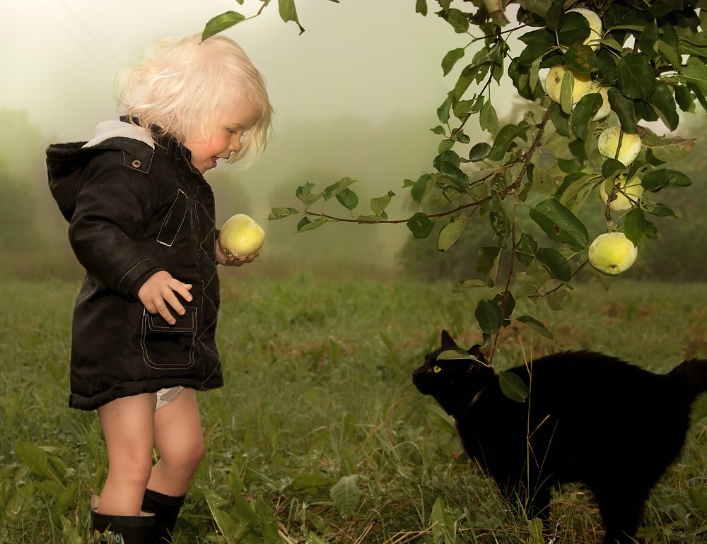 утро в деревне