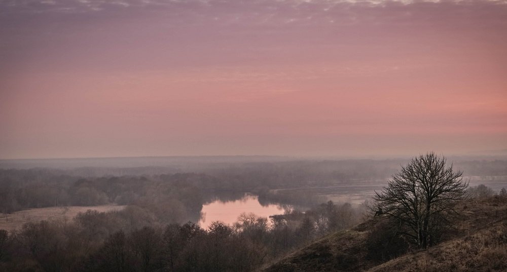Фотография автора Ольга Забрянская