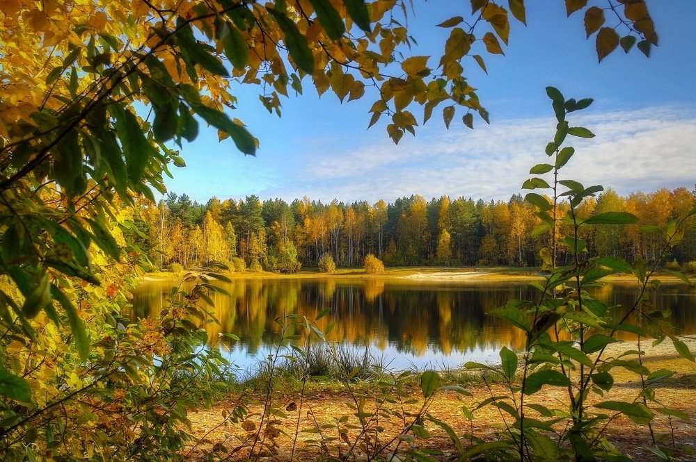 Photograph by Дмитрий Янтарев