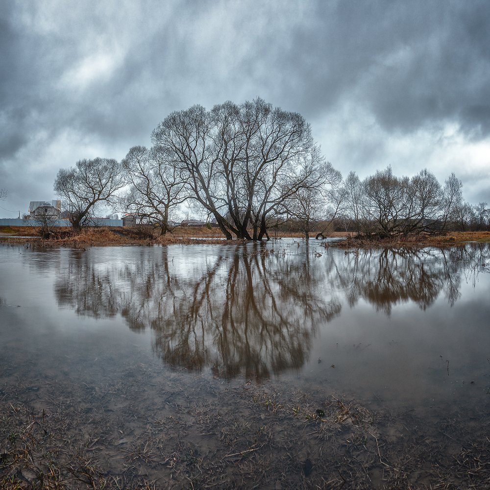 Photograph by Николай Андреев