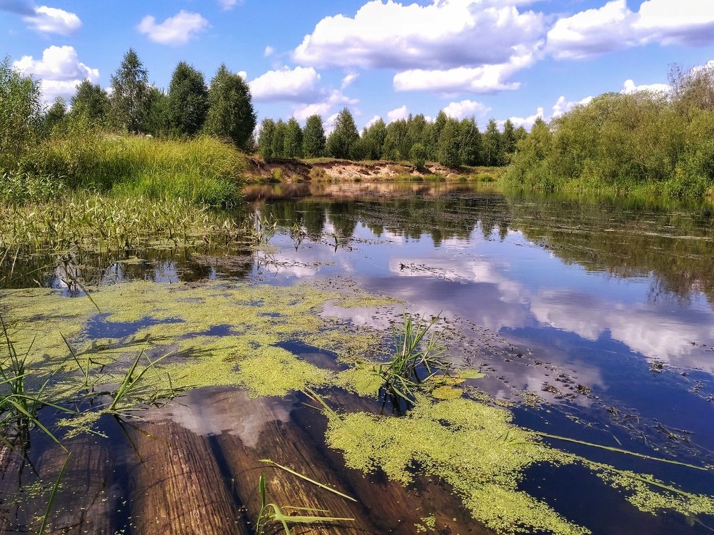 Photograph by Алексей Ялышев