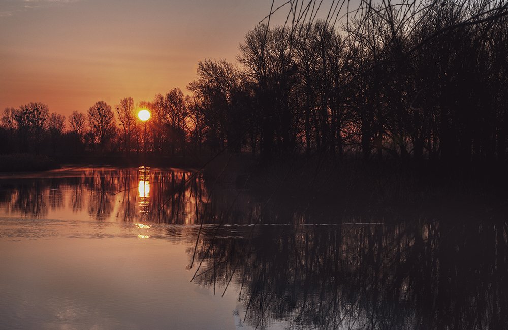 Photograph by Александр Калудин