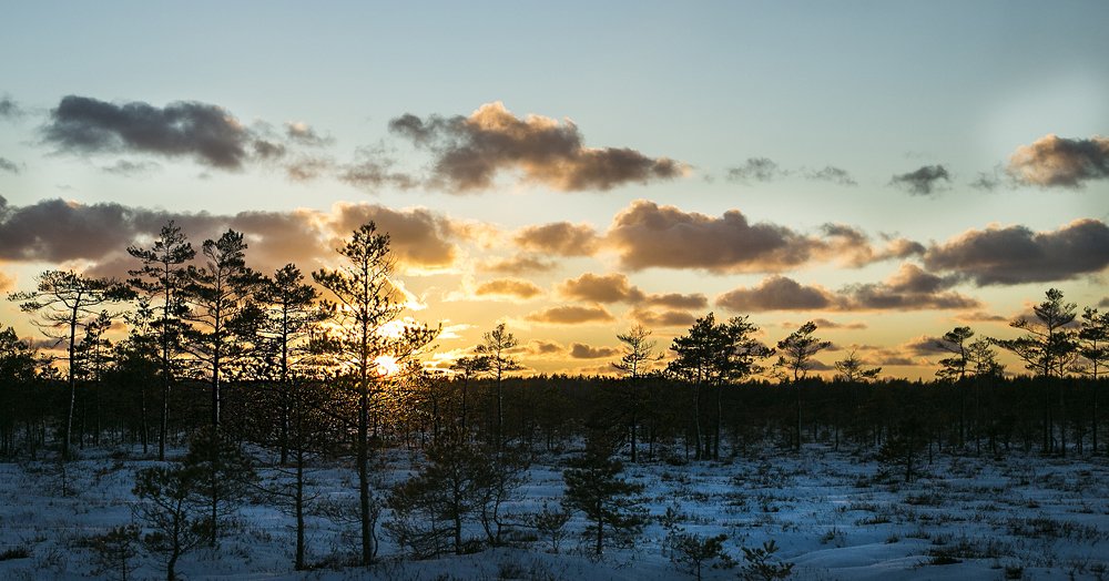 Photograph by ILONA KILA