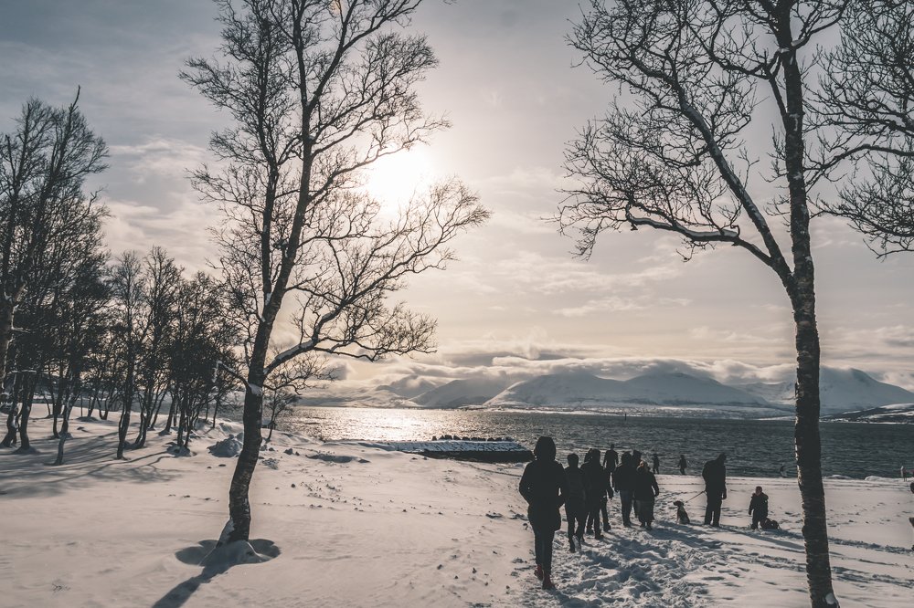 Photograph by Denise Santaera