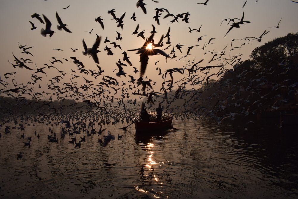 Photograph by Pathrose Mathew