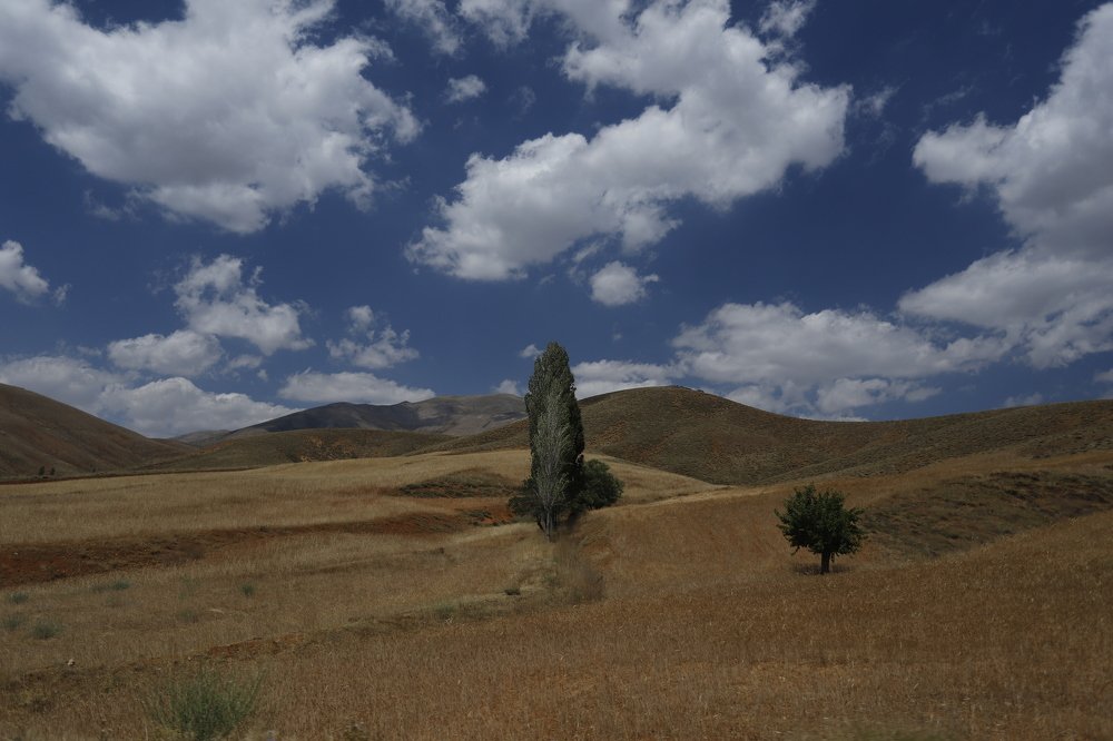 Photograph by GUNSEL SECKİNER