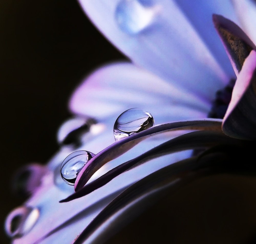 Photo #4492254