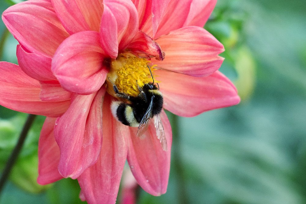 Photograph by Юлия Кузьмина