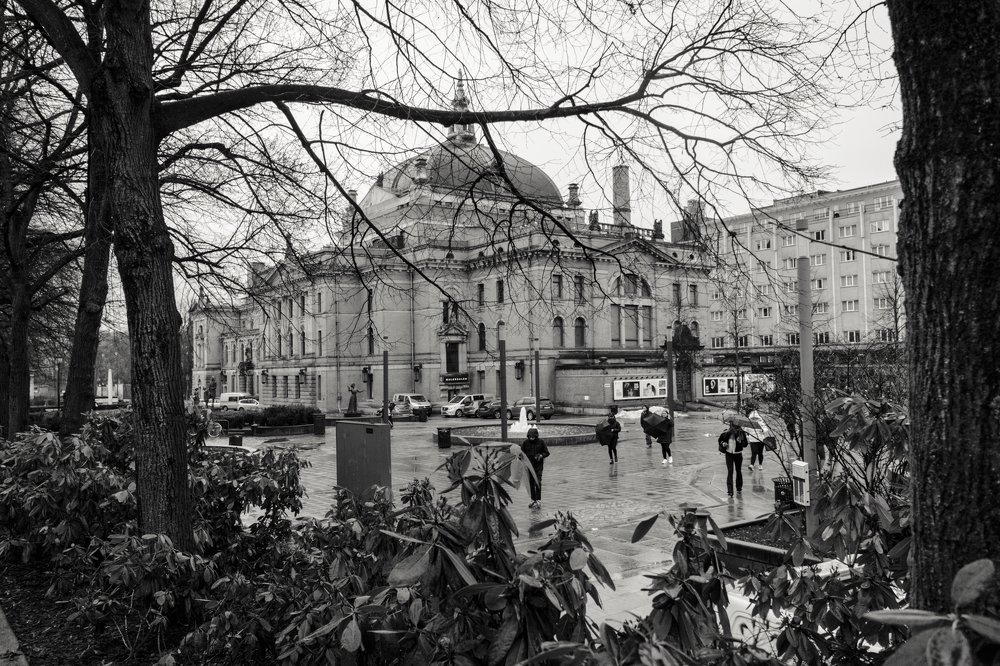 Photograph by Denise Santaera